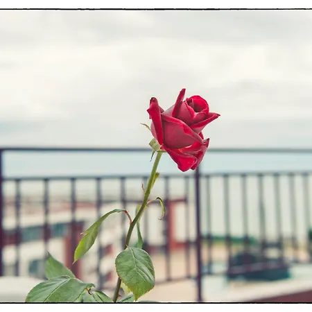 Privilege Apartamento Sveti Vlas